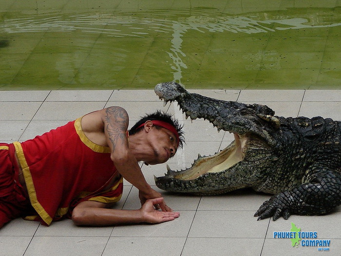 Phuket Crocodile World